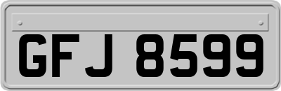GFJ8599