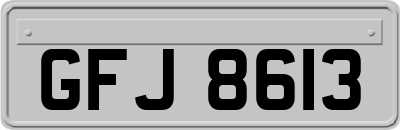 GFJ8613
