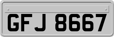 GFJ8667