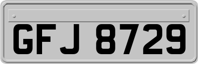 GFJ8729