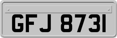 GFJ8731