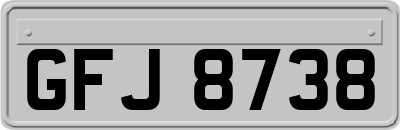 GFJ8738