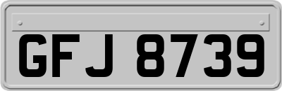 GFJ8739