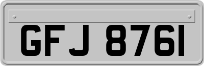 GFJ8761