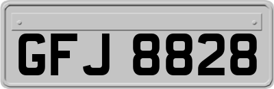 GFJ8828