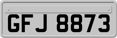 GFJ8873