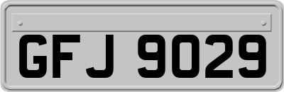 GFJ9029