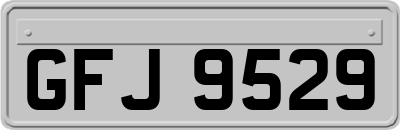 GFJ9529