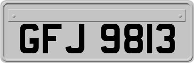 GFJ9813