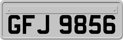 GFJ9856
