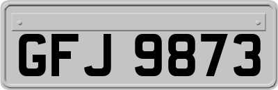 GFJ9873