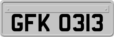 GFK0313