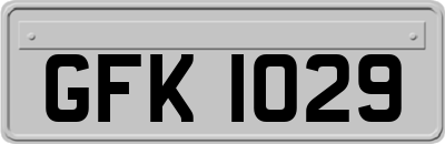 GFK1029