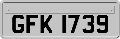 GFK1739