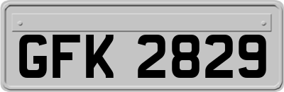 GFK2829