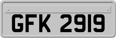GFK2919
