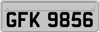 GFK9856