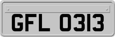 GFL0313