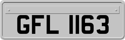 GFL1163