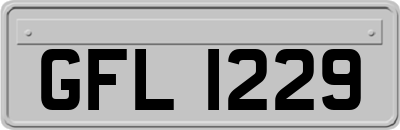 GFL1229