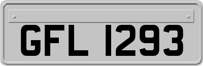 GFL1293