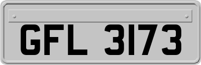 GFL3173