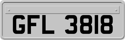 GFL3818