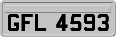 GFL4593