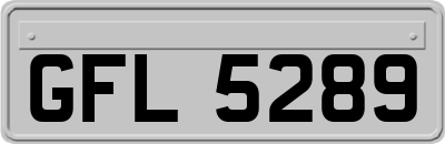 GFL5289