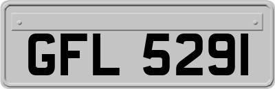 GFL5291