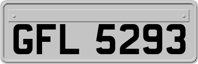 GFL5293