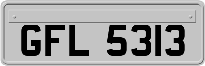 GFL5313