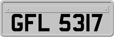 GFL5317