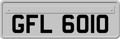 GFL6010