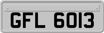 GFL6013