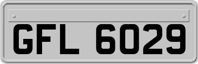 GFL6029