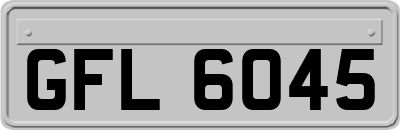 GFL6045