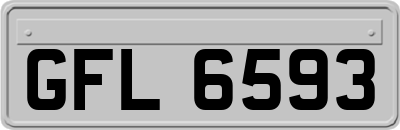 GFL6593