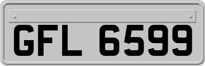 GFL6599