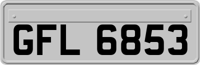 GFL6853