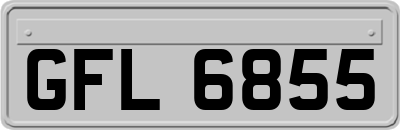 GFL6855
