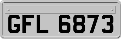 GFL6873