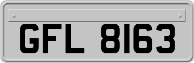 GFL8163