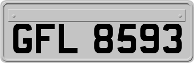 GFL8593