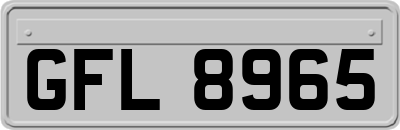 GFL8965
