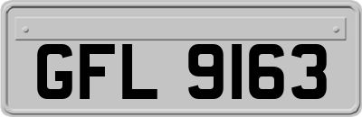 GFL9163