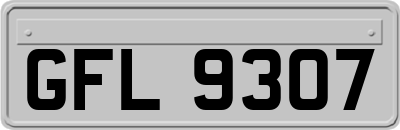 GFL9307