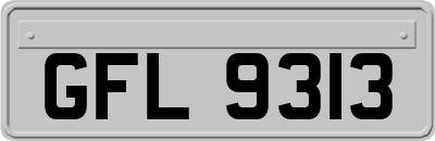 GFL9313