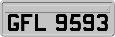GFL9593