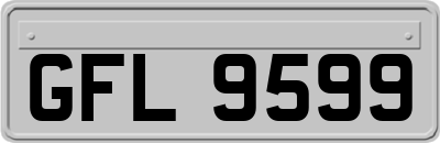 GFL9599